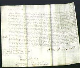 Court of Common Pleas - Anne Wright-Original Ancestry