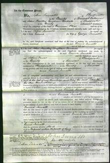 Court of Common Pleas - Emma Innalls-Original Ancestry