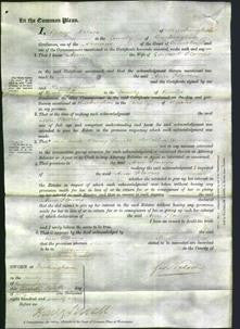 Court of Common Pleas - Ann Flowers-Original Ancestry