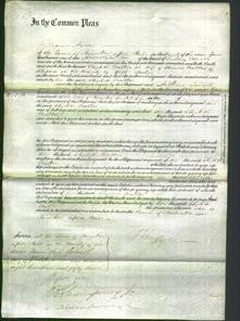 Court of Common Pleas - Elizabeth Coultas-Original Ancestry