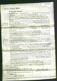 Court of Common Pleas - Juliana Georgina Lumb and Claudine Elisabeth Zulloch-Original Ancestry