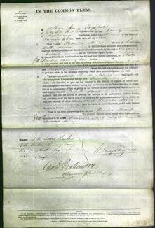 Court of Common Pleas - Priscilla Morris-Original Ancestry