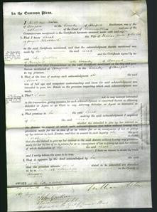 Court of Common Pleas - Sarah Jones-Original Ancestry