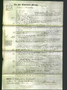 Court of Common Pleas - Sarah Walker Marlow Turner-Original Ancestry