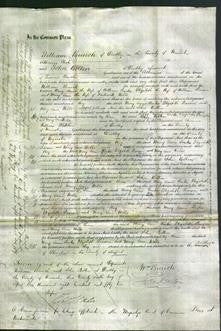 Court of Common Pleas - Mary Anne Tonks, Elizabeth Pearson, Mary Ann Wells-Original Ancestry