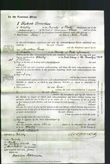 Court of Common Pleas - Jane Scales-Original Ancestry