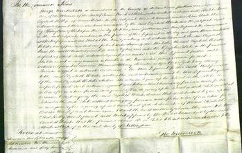 Court of Common Pleas - Elizabeth Webster-Original Ancestry