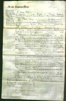 Court of Common Pleas - Mary Palmer-Original Ancestry
