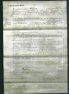 Court of Common Pleas - Caroline Beardsell-Original Ancestry