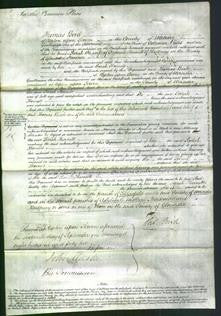 Court of Common Pleas - Sarah Thornett-Original Ancestry