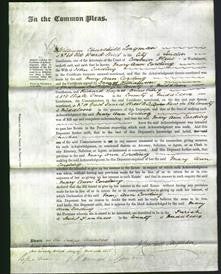 Court of Common Pleas - Mary Ann Carding-Original Ancestry