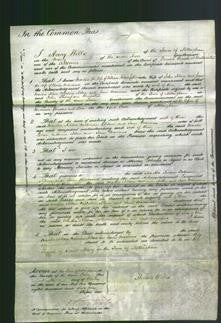 Court of Common Pleas - Martha Nelson, Catherine Nelson and Jane Marrows-Original Ancestry