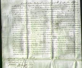 Court of Common Pleas - Louisa Agnes Alava Cameron-Original Ancestry