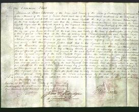 Court of Common Pleas - Elizabeth Orger-Original Ancestry