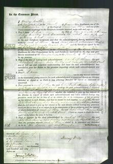 Court of Common Pleas - Julia Draltby Fowle-Original Ancestry