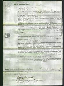 Court of Common Pleas - Elizabeth Ann Upham-Original Ancestry