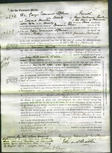 Court of Common Pleas - Betsy Ireland-Original Ancestry