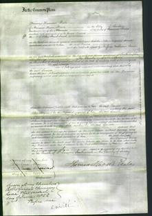Court of Common Pleas - Louisa Lamb-Original Ancestry
