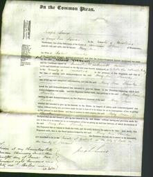 Court of Common Pleas - Mary Ann Showler-Original Ancestry