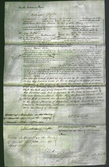 Court of Common Pleas - Catherine Eleanor Clifton-Original Ancestry