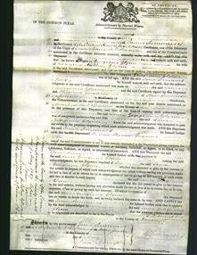 Court of Common Pleas - Laura Georgiana Glynn-Original Ancestry