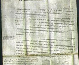 Court of Common Pleas - Abigail Ingham-Original Ancestry