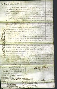 Court of Common Pleas - Isabella Mitchell-Original Ancestry