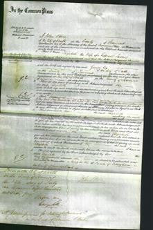 Court of Common Pleas - Elizabeth James-Original Ancestry