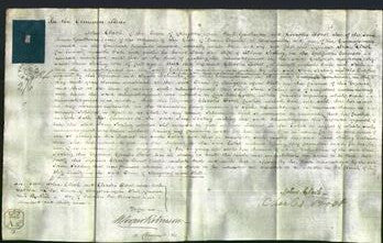 Court of Common Pleas - Jane Scaling-Original Ancestry