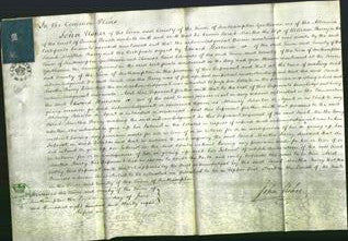 Court of Common Pleas - Sarah Martha Barry-Original Ancestry