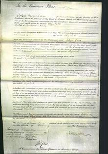 Court of Common Pleas - Elizabeth Ashby-Original Ancestry