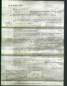 Court of Common Pleas - Elizabeth Moule Collisson-Original Ancestry