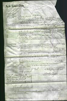 Court of Common Pleas - Eliza Mitchell-Original Ancestry