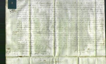 Court of Common Pleas - Eliza Brook-Original Ancestry