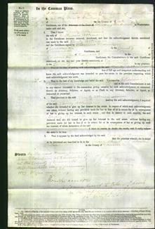 Court of Common Pleas - Cecily Atkinson-Original Ancestry