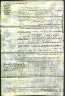 Court of Common Pleas - Dame Catherine Eliza Denys-Original Ancestry