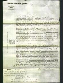 Court of Common Pleas - The Honorable Elizabeth Worsley a Court Holmes-Original Ancestry