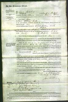 Court of Common Pleas - Ann Lead-Original Ancestry