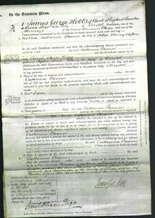 Court of Common Pleas - Catherine Eleanor Clifton-Original Ancestry