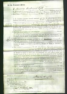 Court of Common Pleas - Catherine Symons Martin-Original Ancestry