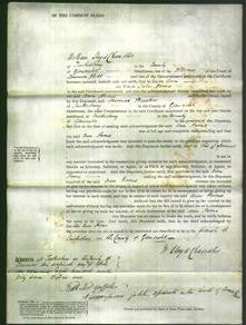 Court of Common Pleas - Ann Home-Original Ancestry