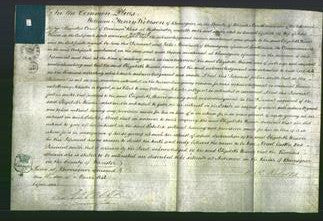 Court of Common Pleas - Elizabeth Weaver-Original Ancestry