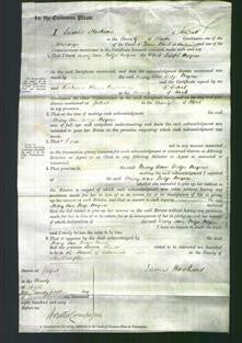 Court of Common Pleas - Mary Ann Dodge Meyers-Original Ancestry