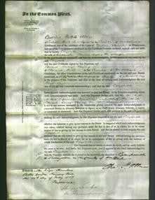 Court of Common Pleas - Elizabeth Gylby-Original Ancestry