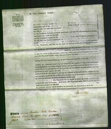 Court of Common Pleas - Sally Dixson-Original Ancestry