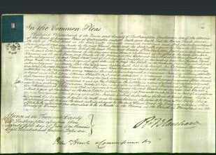 Court of Common Pleas - Sarah Anne Hunt