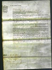 Court of Common Pleas - Elizabeth Mary Gill-Original Ancestry