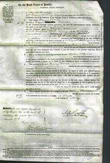 Court of Common Pleas - Fanny Turner-Original Ancestry