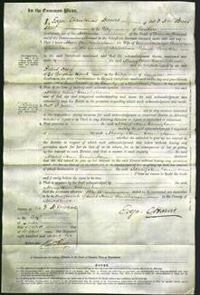 Court of Common Pleas - Mary Ann Coningham-Original Ancestry