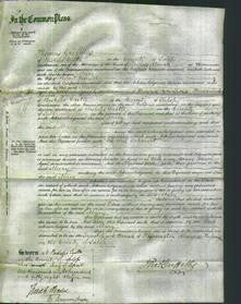 Court of Common Pleas - Mary Everall-Original Ancestry